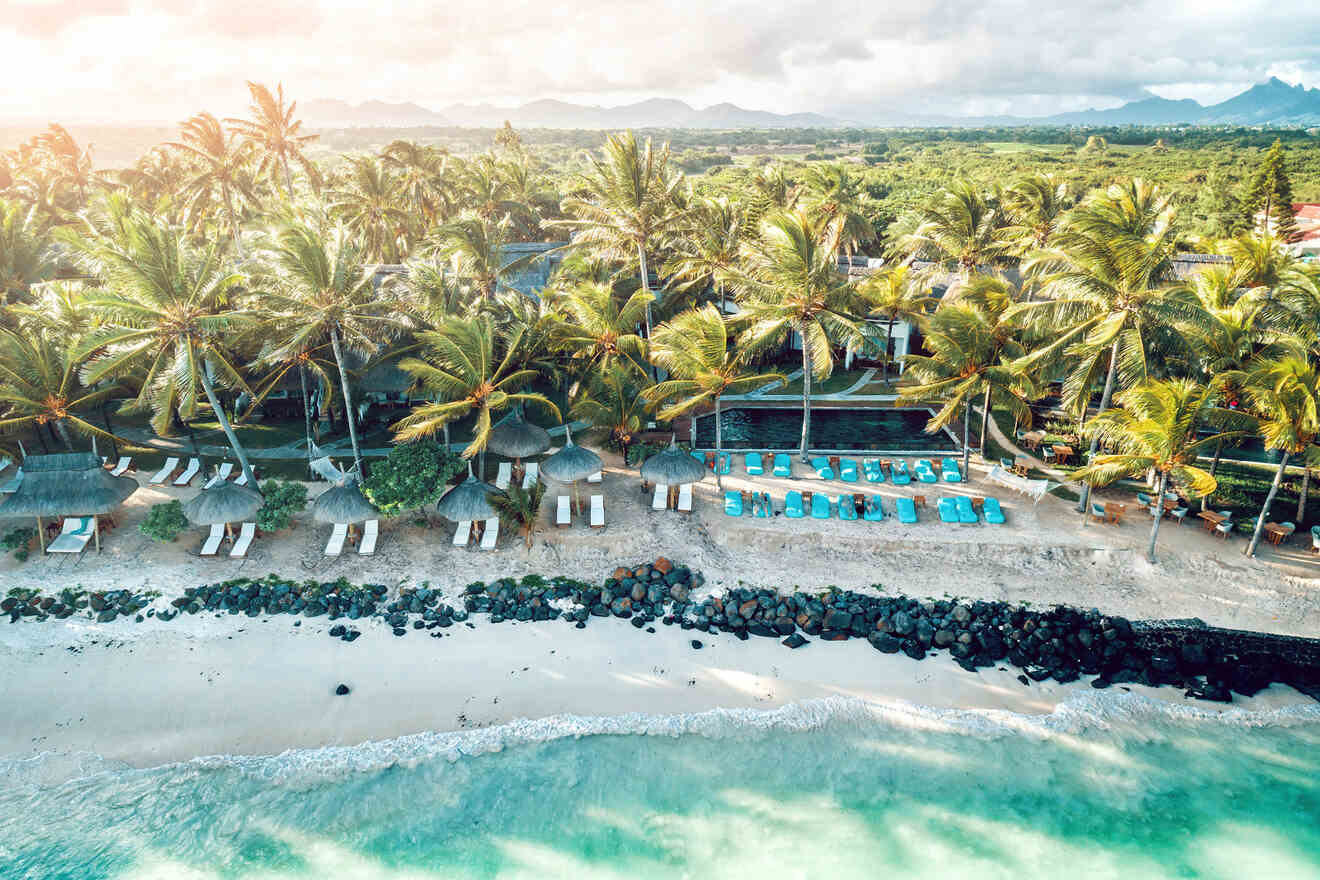 Lush tropical resort with thatched-roof huts along a white sandy beach, surrounded by a dense palm grove, overlooking a tranquil ocean, highlighting an idyllic vacation spot